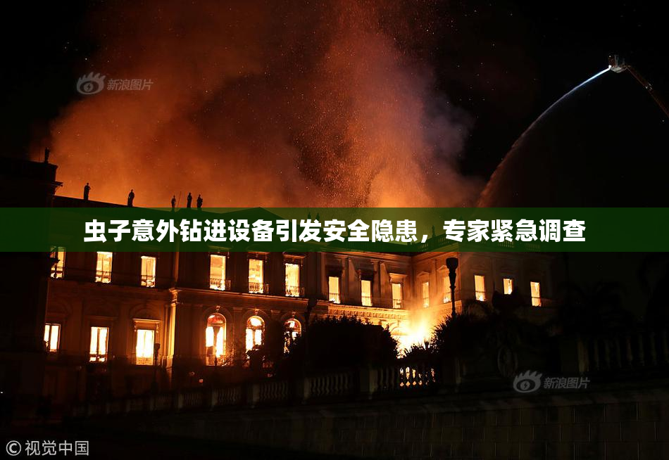 虫子意外钻进设备引发安全隐患，专家紧急调查