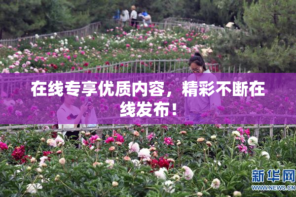 在线专享优质内容，精彩不断在线发布！