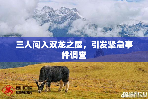 三人闯入双龙之屋，引发紧急事件调查