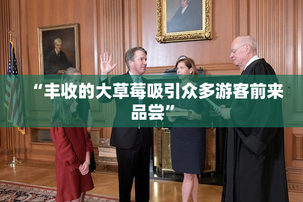 “丰收的大草莓吸引众多游客前来品尝”