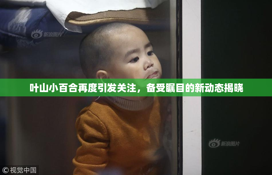 叶山小百合再度引发关注，备受瞩目的新动态揭晓