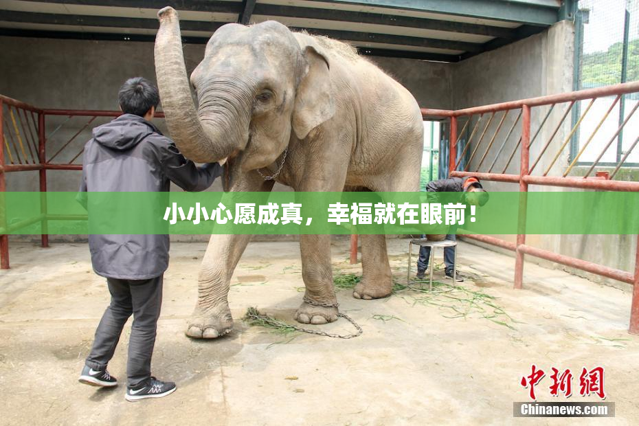 小小心愿成真，幸福就在眼前！