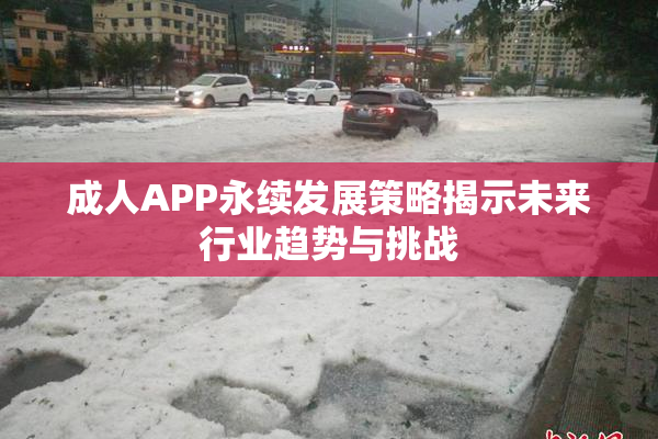 成人APP永续发展策略揭示未来行业趋势与挑战