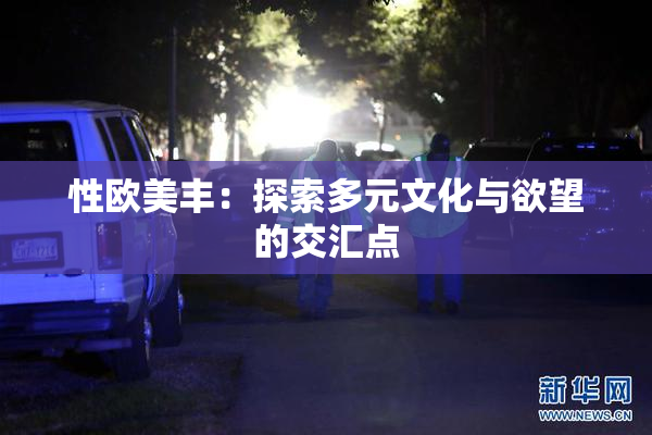 性欧美丰：探索多元文化与欲望的交汇点