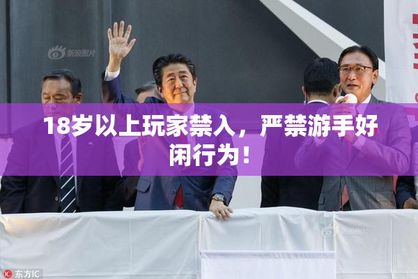 18岁以上玩家禁入，严禁游手好闲行为！