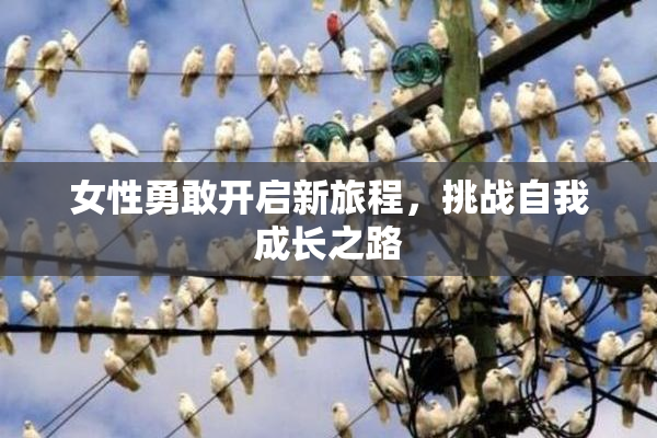 女性勇敢开启新旅程，挑战自我成长之路