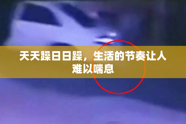 天天躁日日躁，生活的节奏让人难以喘息