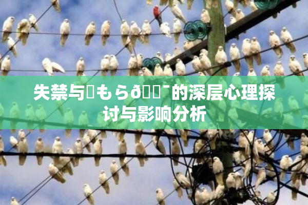 失禁与✿もら🔯的深层心理探讨与影响分析