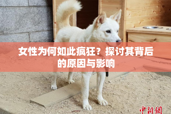 女性为何如此疯狂？探讨其背后的原因与影响