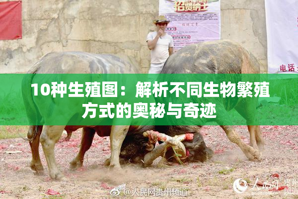 10种生殖图：解析不同生物繁殖方式的奥秘与奇迹