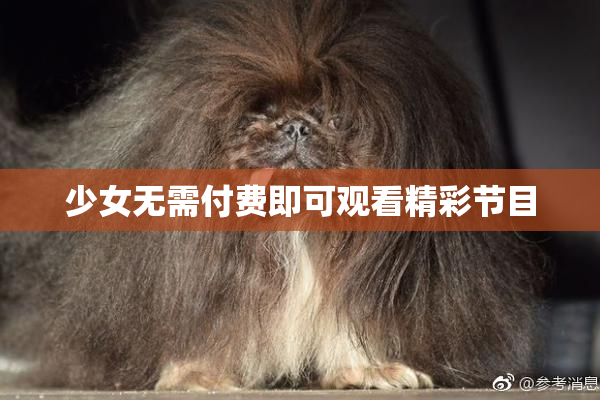 少女无需付费即可观看精彩节目