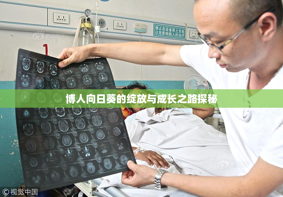 博人向日葵的绽放与成长之路探秘