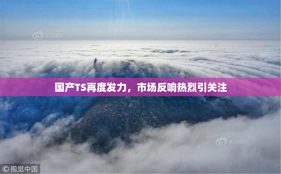 国产TS再度发力，市场反响热烈引关注