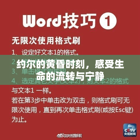 约尔的黄昏时刻，感受生命的流转与宁静