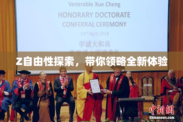 Z自由性探索，带你领略全新体验