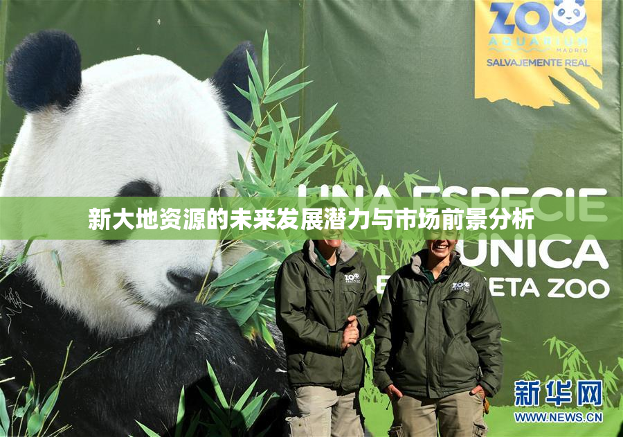 新大地资源的未来发展潜力与市场前景分析