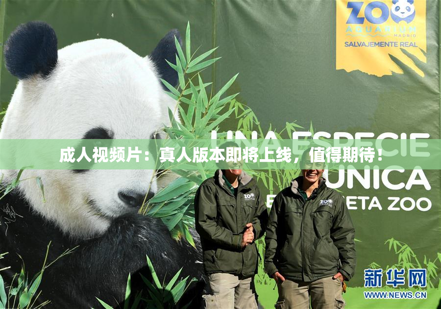 成人视频片：真人版本即将上线，值得期待！