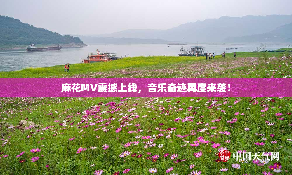 麻花MV震撼上线，音乐奇迹再度来袭！