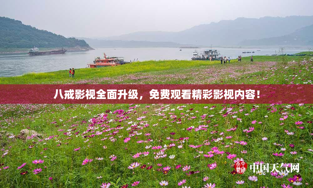 八戒影视全面升级，免费观看精彩影视内容！