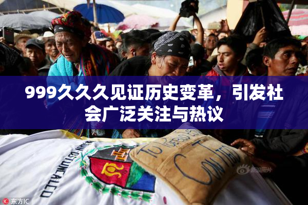 999久久久见证历史变革，引发社会广泛关注与热议