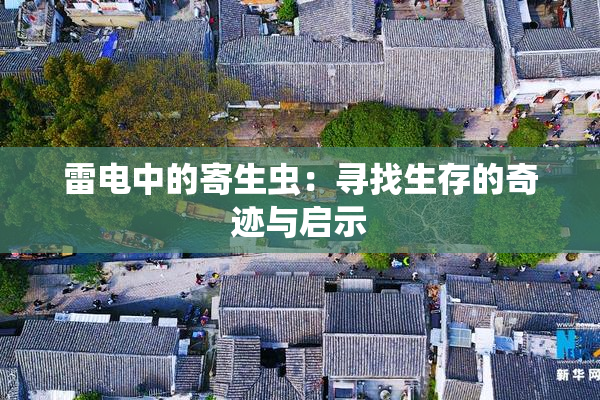 雷电中的寄生虫：寻找生存的奇迹与启示
