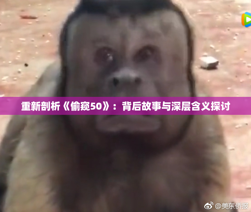 重新剖析《偷窥50》：背后故事与深层含义探讨
