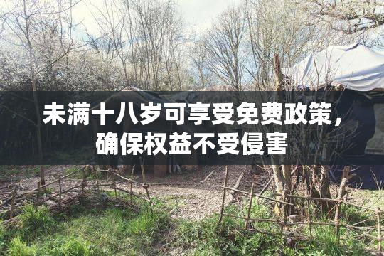 未满十八岁可享受免费政策，确保权益不受侵害