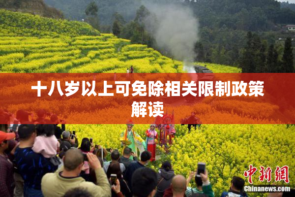 十八岁以上可免除相关限制政策解读