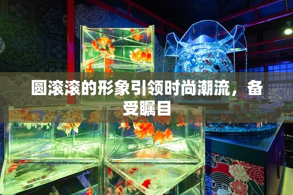 圆滚滚的形象引领时尚潮流，备受瞩目