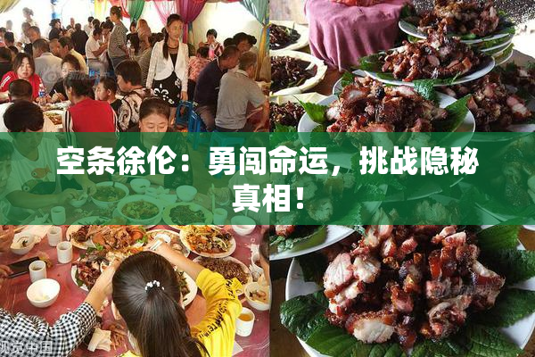 空条徐伦：勇闯命运，挑战隐秘真相！