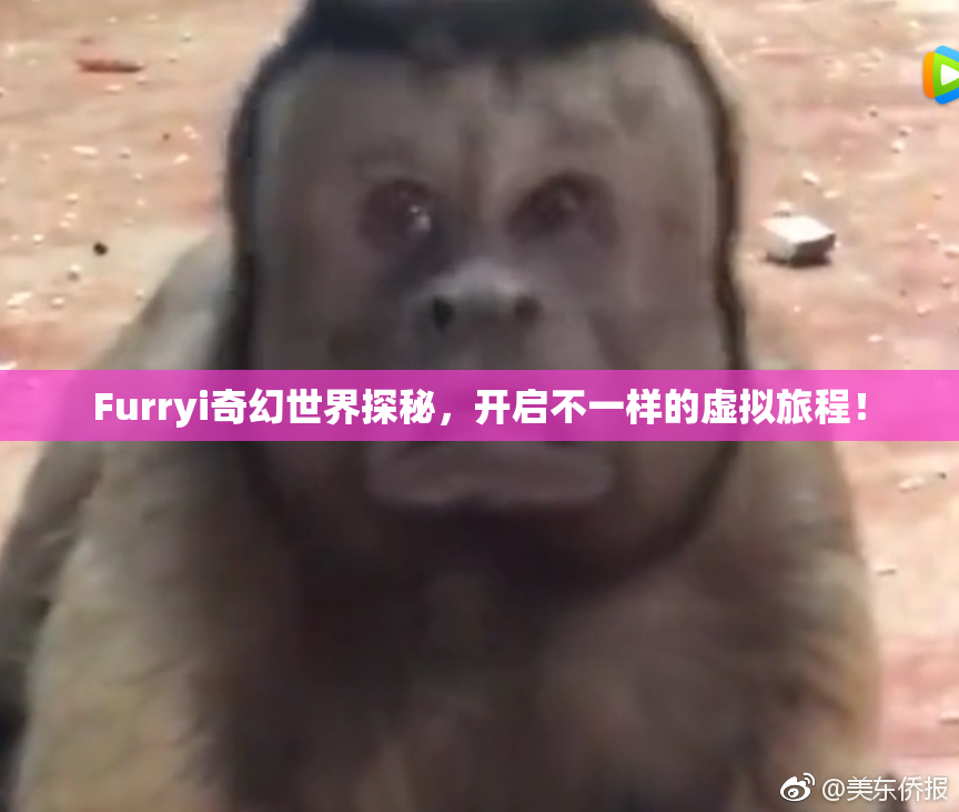 Furryi奇幻世界探秘，开启不一样的虚拟旅程！