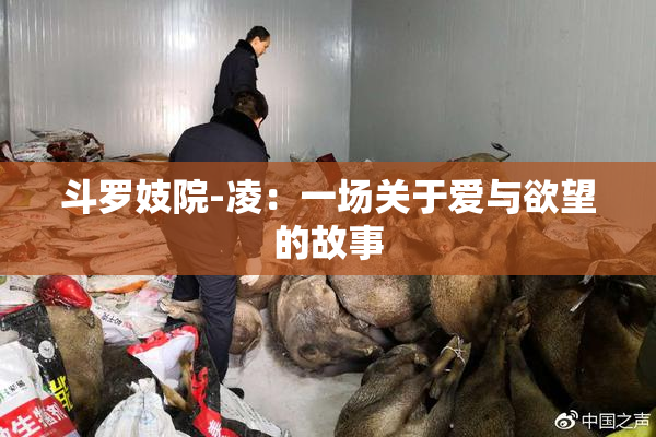 斗罗妓院-凌：一场关于爱与欲望的故事