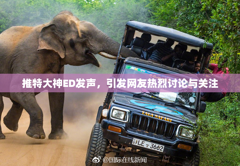 推特大神ED发声，引发网友热烈讨论与关注