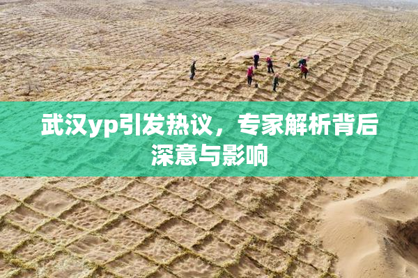 武汉yp引发热议，专家解析背后深意与影响