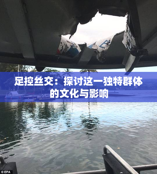 足控丝交：探讨这一独特群体的文化与影响