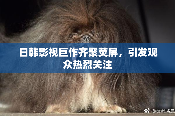 日韩影视巨作齐聚荧屏，引发观众热烈关注