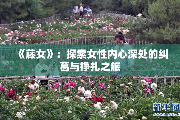 《藤女》：探索女性内心深处的纠葛与挣扎之旅