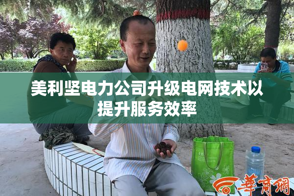 美利坚电力公司升级电网技术以提升服务效率