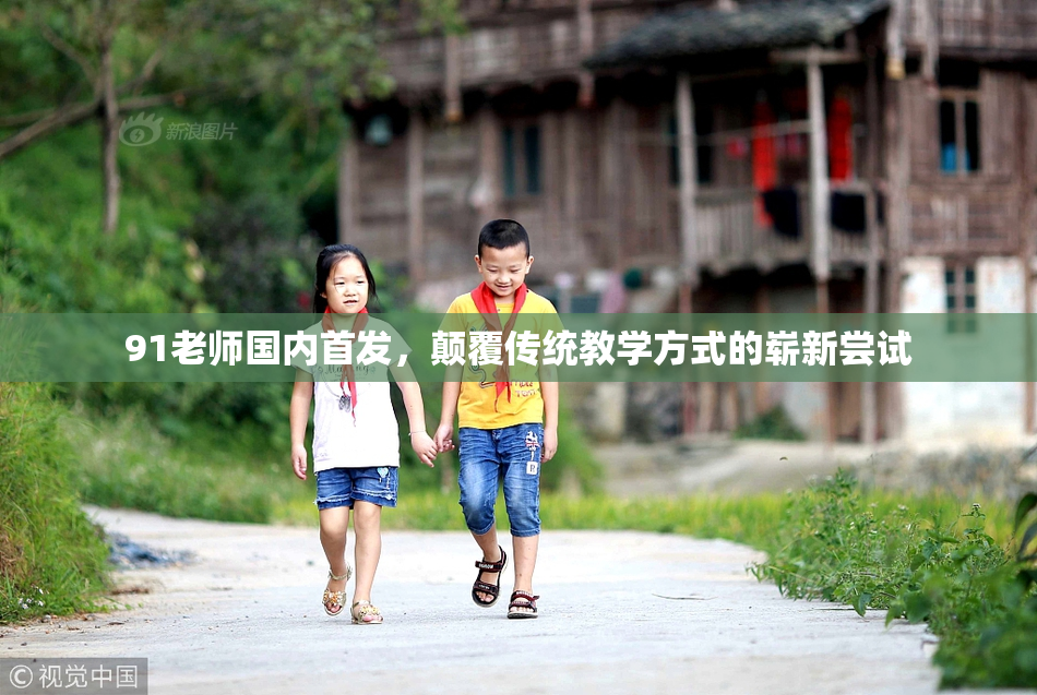 91老师国内首发，颠覆传统教学方式的崭新尝试