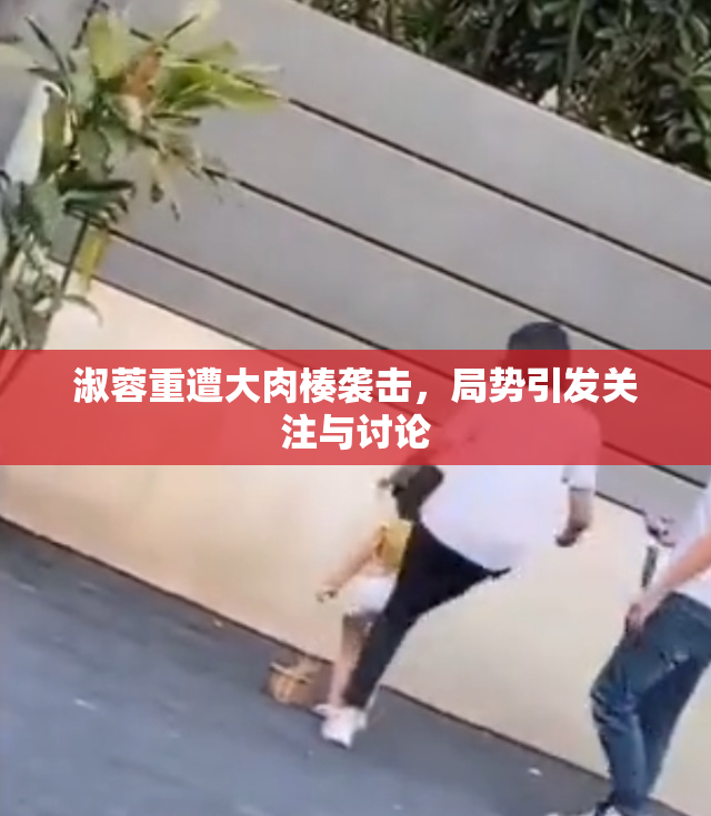 淑蓉重遭大肉楱袭击，局势引发关注与讨论
