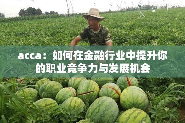acca：如何在金融行业中提升你的职业竞争力与发展机会