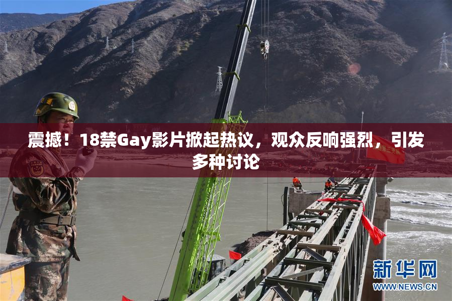 震撼！18禁Gay影片掀起热议，观众反响强烈，引发多种讨论