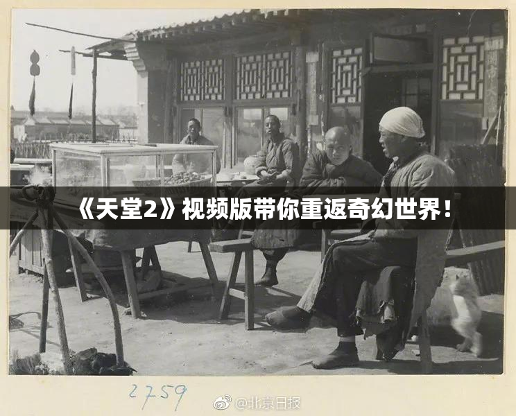 《天堂2》视频版带你重返奇幻世界！