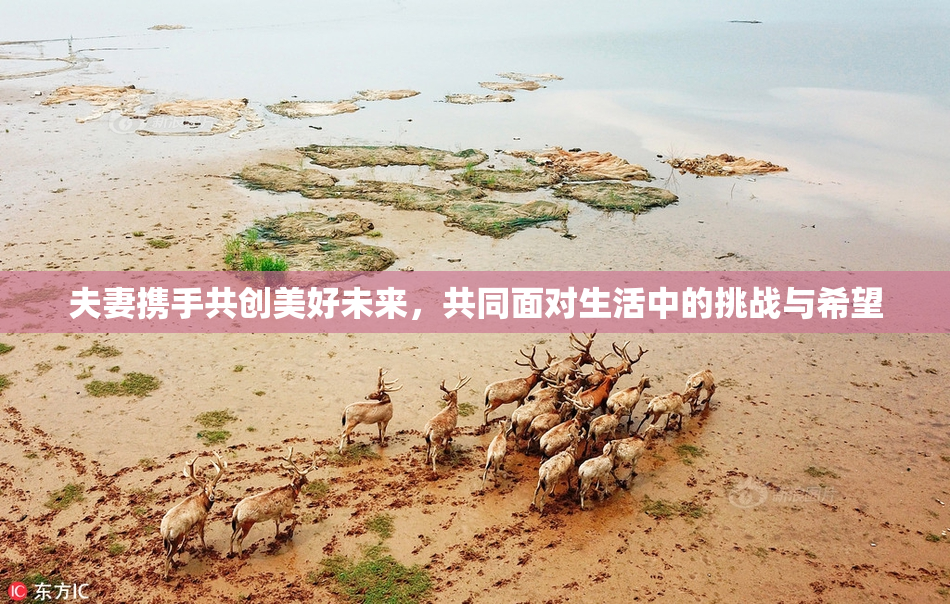 夫妻携手共创美好未来，共同面对生活中的挑战与希望