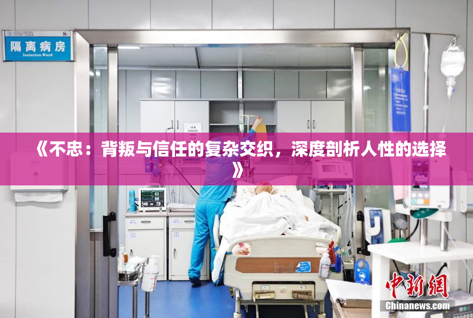 《不忠：背叛与信任的复杂交织，深度剖析人性的选择》