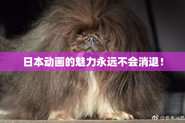 日本动画的魅力永远不会消退！
