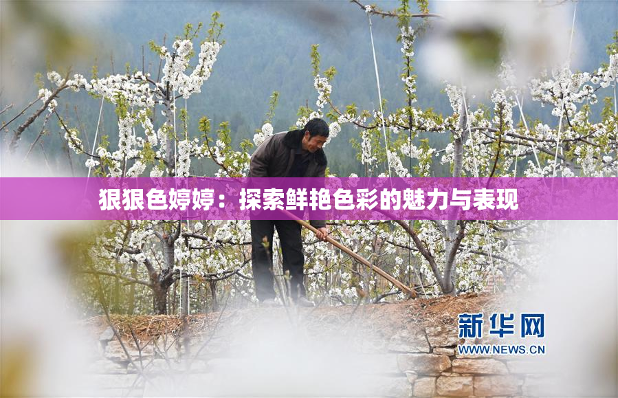 狠狠色婷婷：探索鲜艳色彩的魅力与表现