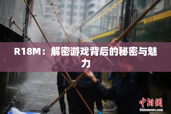 R18M：解密游戏背后的秘密与魅力
