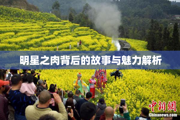 明星之肉背后的故事与魅力解析