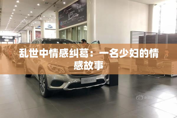 乱世中情感纠葛：一名少妇的情感故事